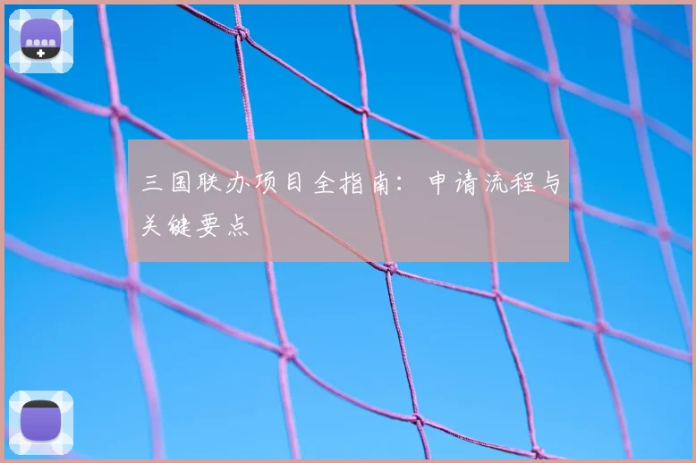 三国联办项目全指南：申请流程与关键要点