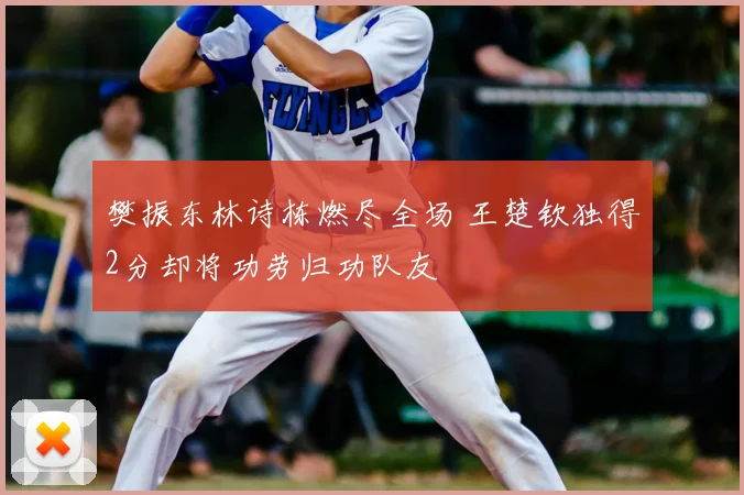樊振东林诗栋燃尽全场 王楚钦独得2分却将功劳归功队友